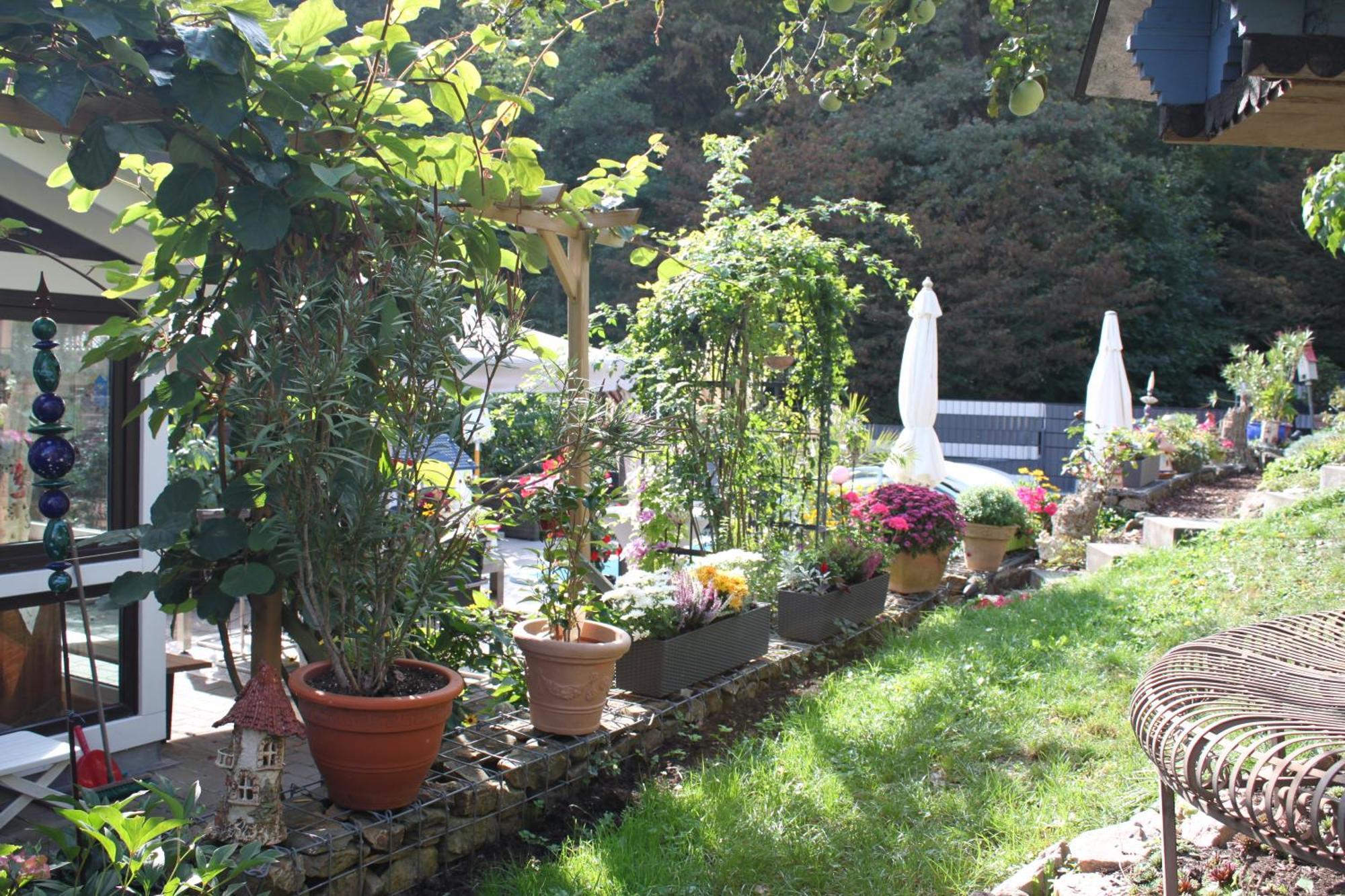 Ferienwohnung Im Morgenbachtal Trechtingshausen Exterior foto