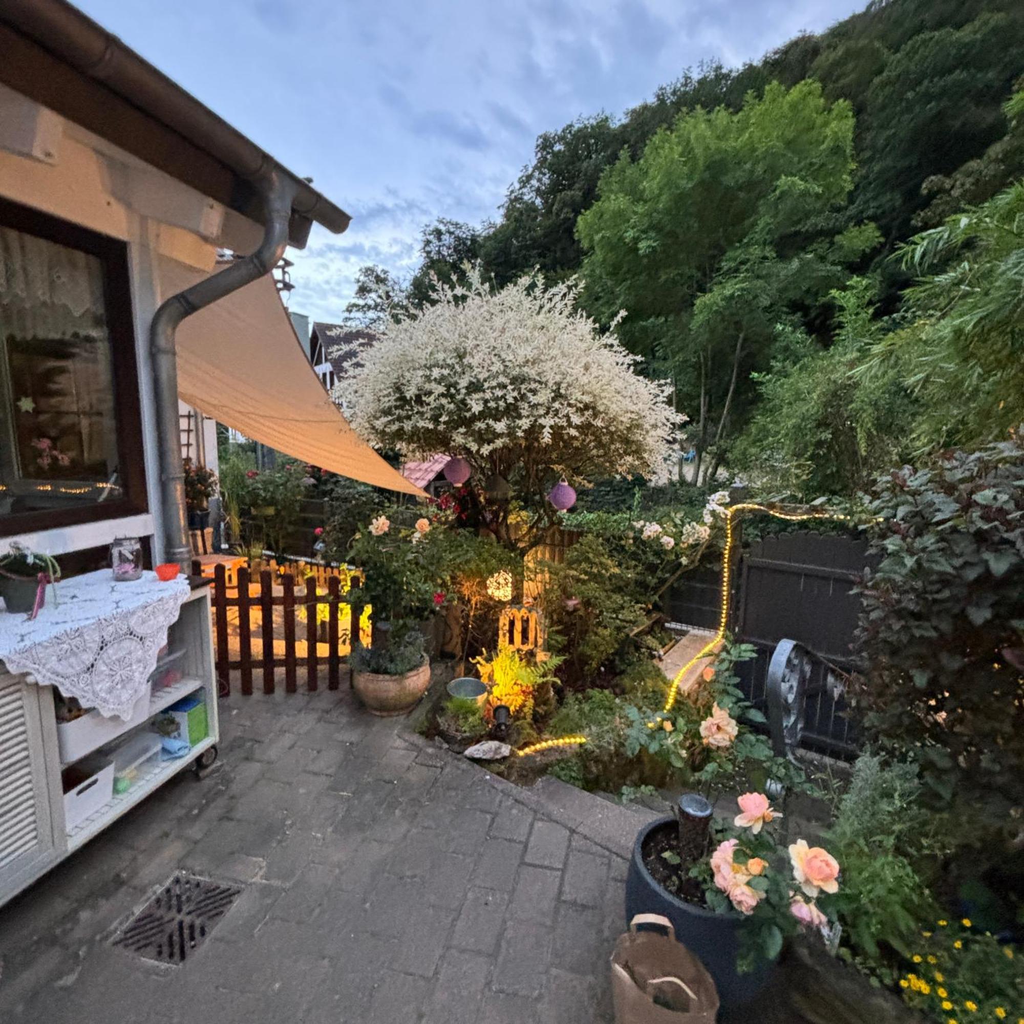 Ferienwohnung Im Morgenbachtal Trechtingshausen Exterior foto