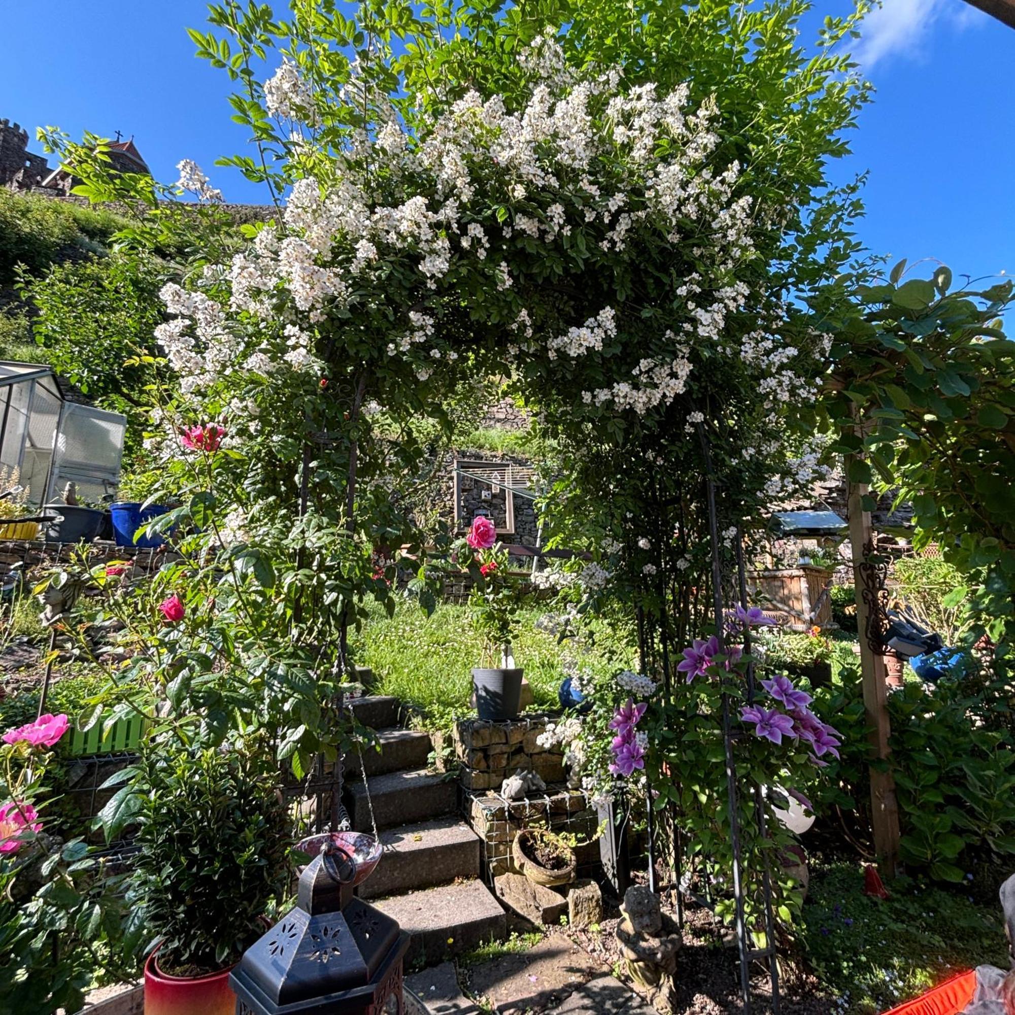 Ferienwohnung Im Morgenbachtal Trechtingshausen Exterior foto