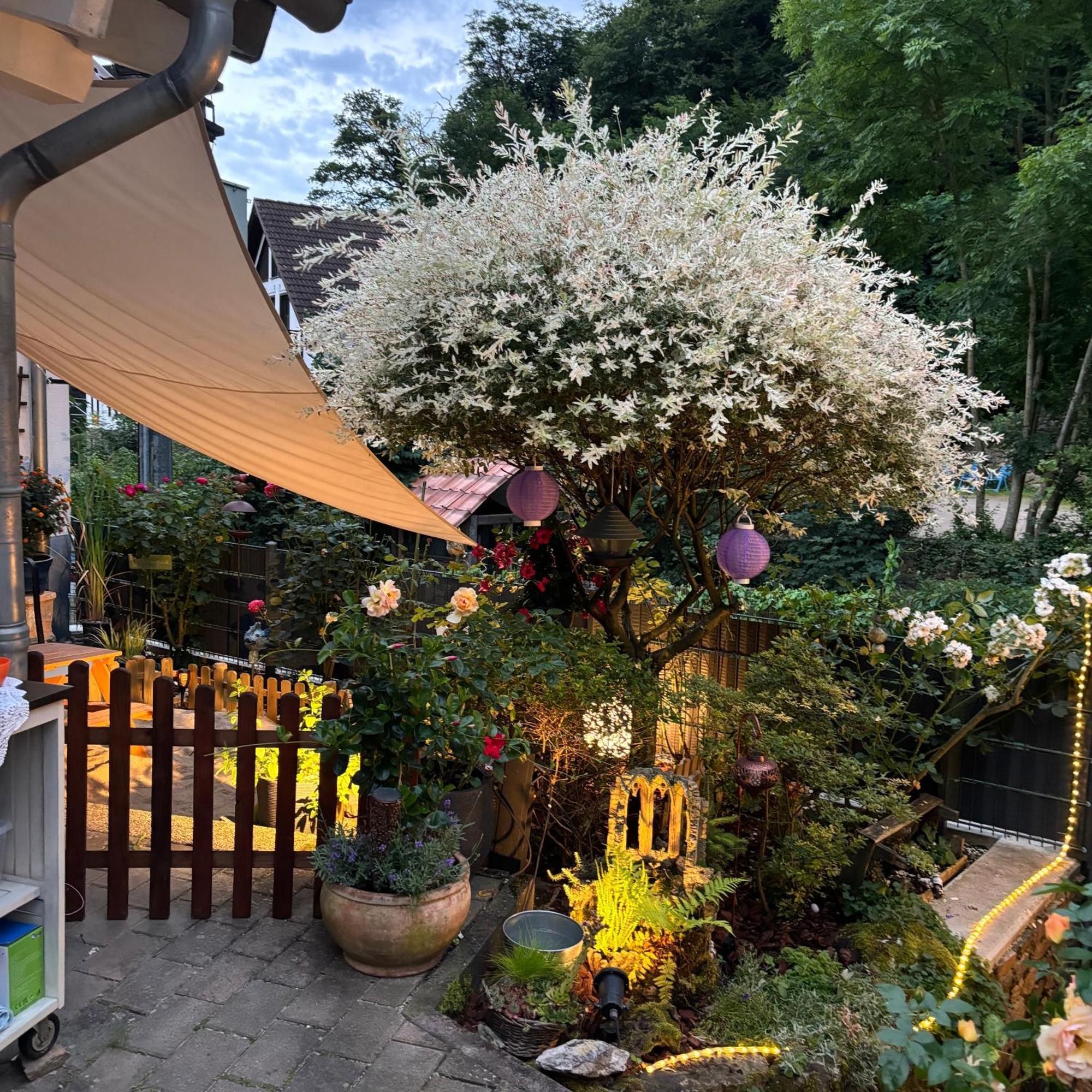 Ferienwohnung Im Morgenbachtal Trechtingshausen Exterior foto