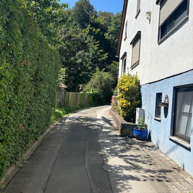 Ferienwohnung Im Morgenbachtal Trechtingshausen Exterior foto