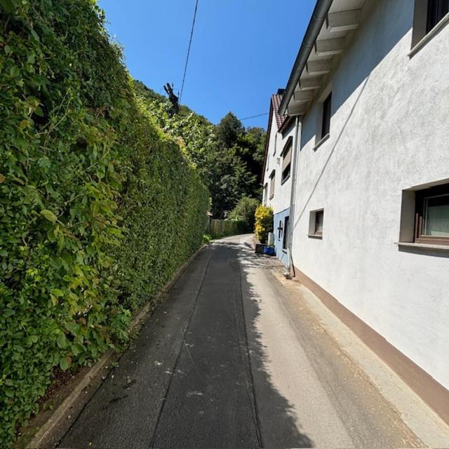 Ferienwohnung Im Morgenbachtal Trechtingshausen Exterior foto